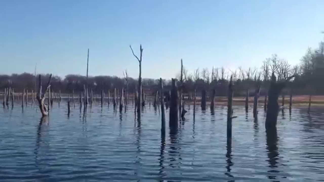 Lake Fork Stumps