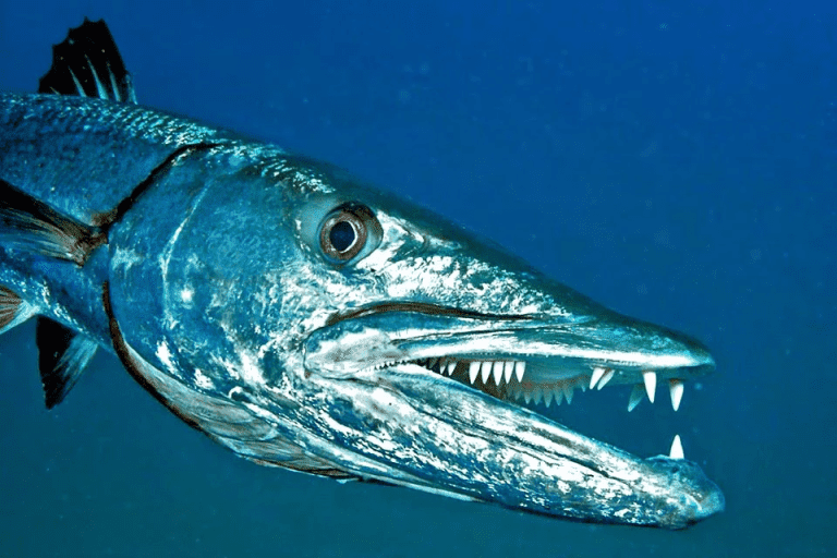 Do Fish Bite? - All You Need To Know For The Most Common Species - USAngler